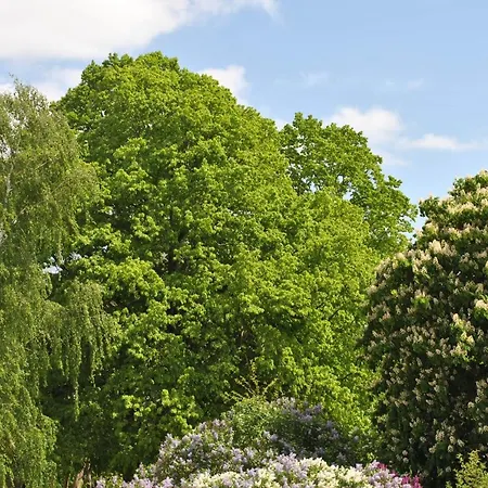 Am Plätlinsee Apartment *