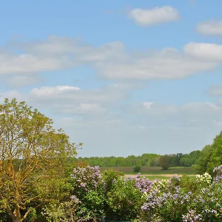 Am Plätlinsee Wustrow (Mecklenburg-Strelitz)