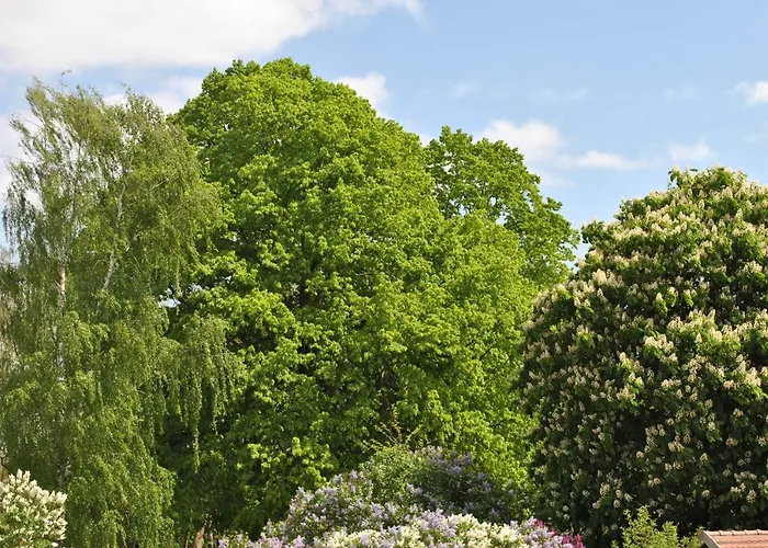 Am Plaetlinsee Lägenhet *